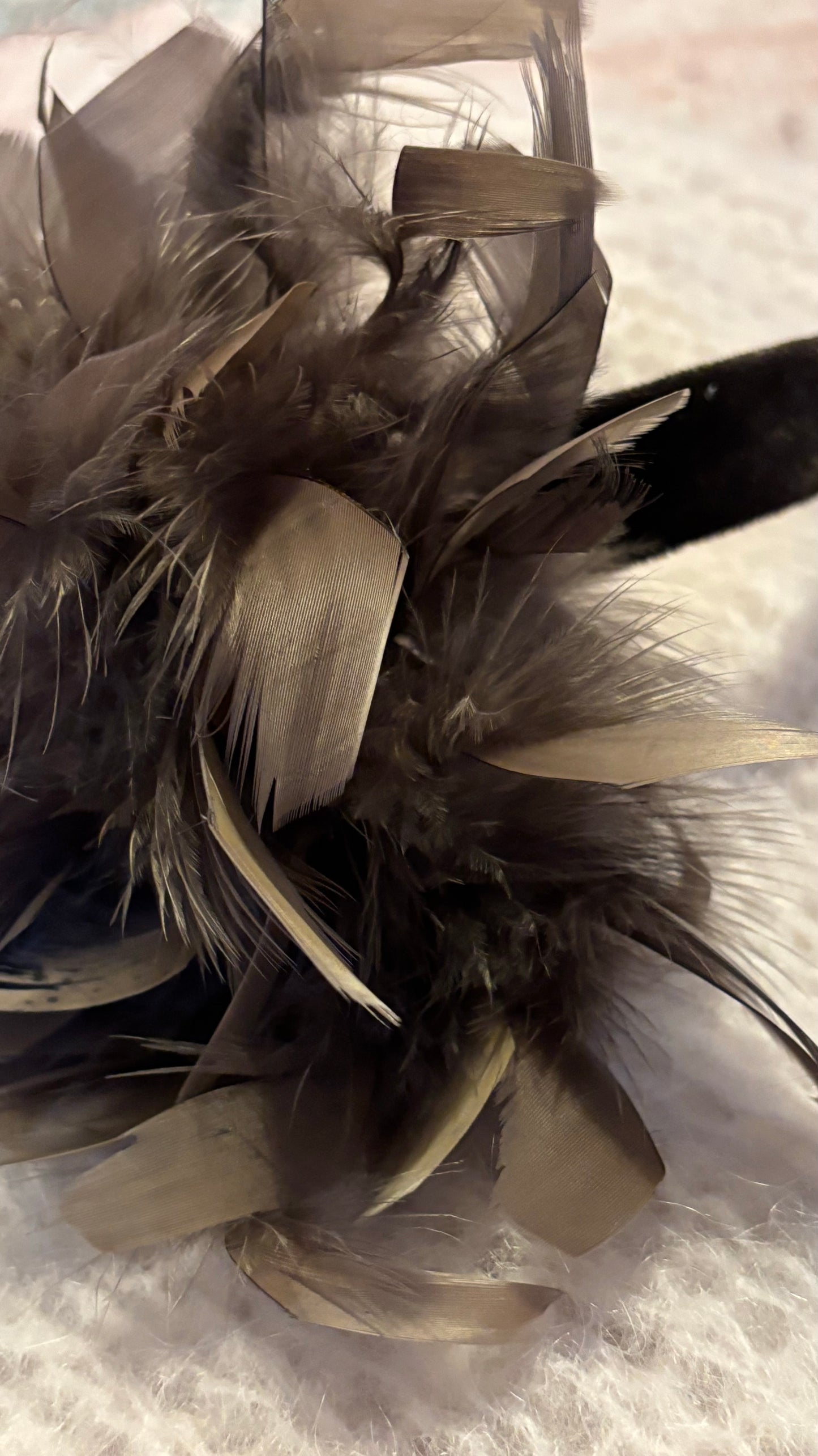 Statement Feather – Brosche & Clip
