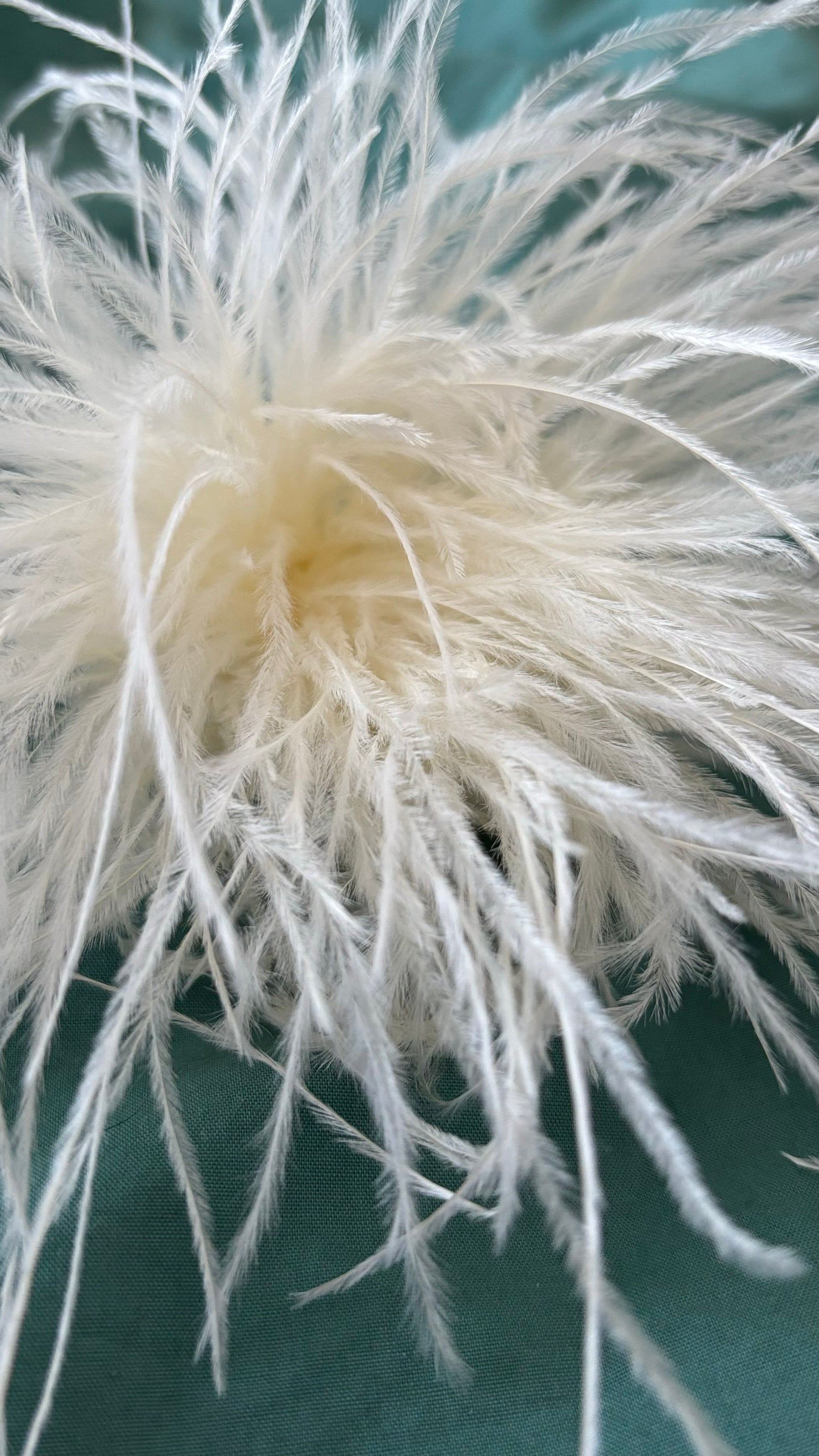 Zarte Brosche aus feinen Federn in Ecru, flexibel tragbar als Anstecker oder Haarclip. Luftiges, extravagantes Accessoire für schlichte Outfits oder besondere Anlässe.