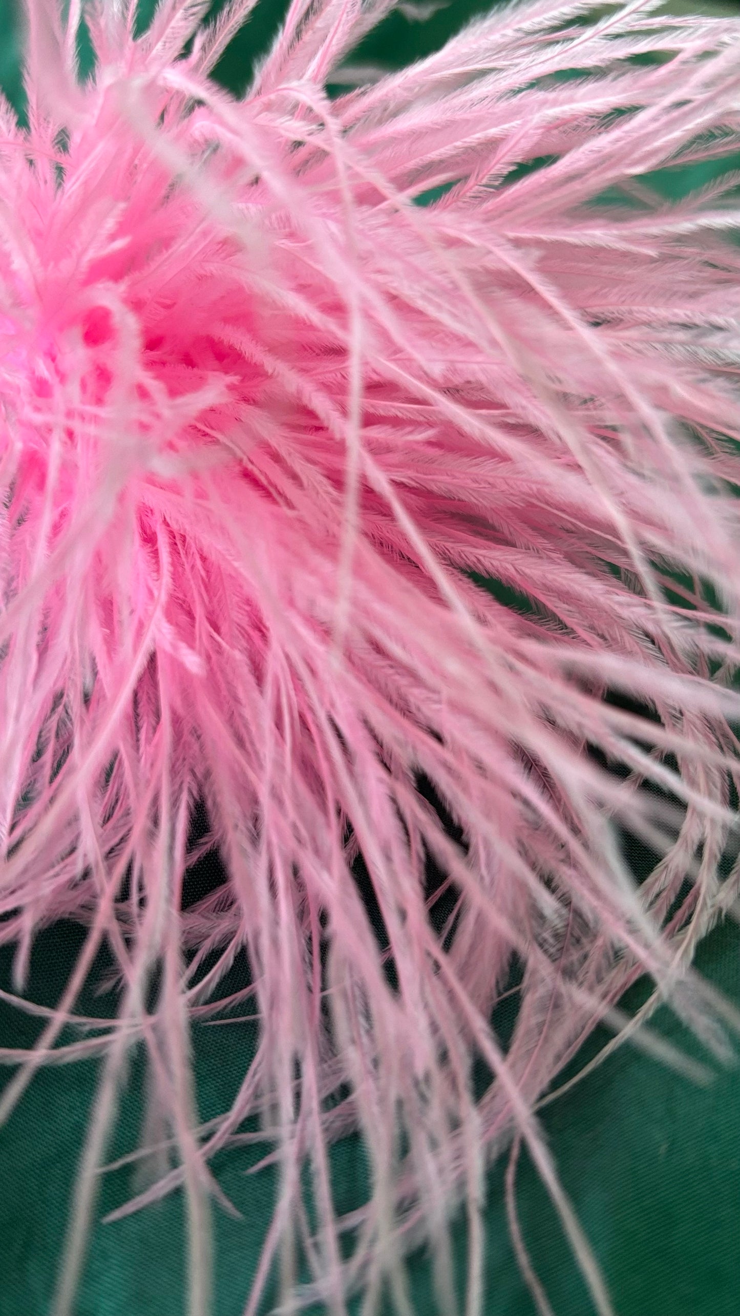 Zarte Brosche aus feinen Federn in Pink, flexibel tragbar als Anstecker oder Haarclip. Luftiges, extravagantes Accessoire für schlichte Outfits oder besondere Anlässe.