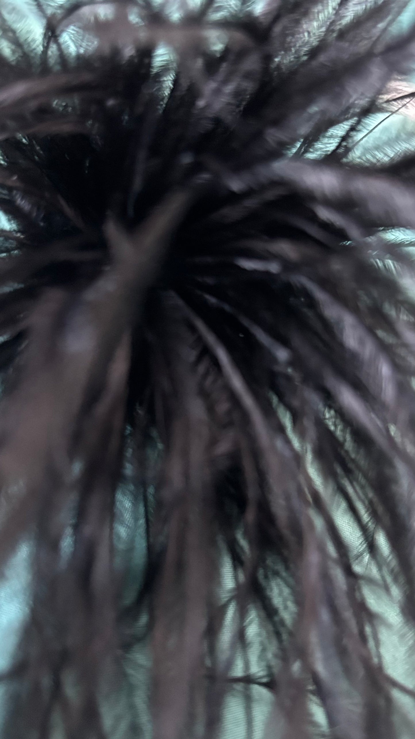 Zarte Brosche aus feinen Federn in SChwarz, flexibel tragbar als Anstecker oder Haarclip. Luftiges, extravagantes Accessoire für schlichte Outfits oder besondere Anlässe.