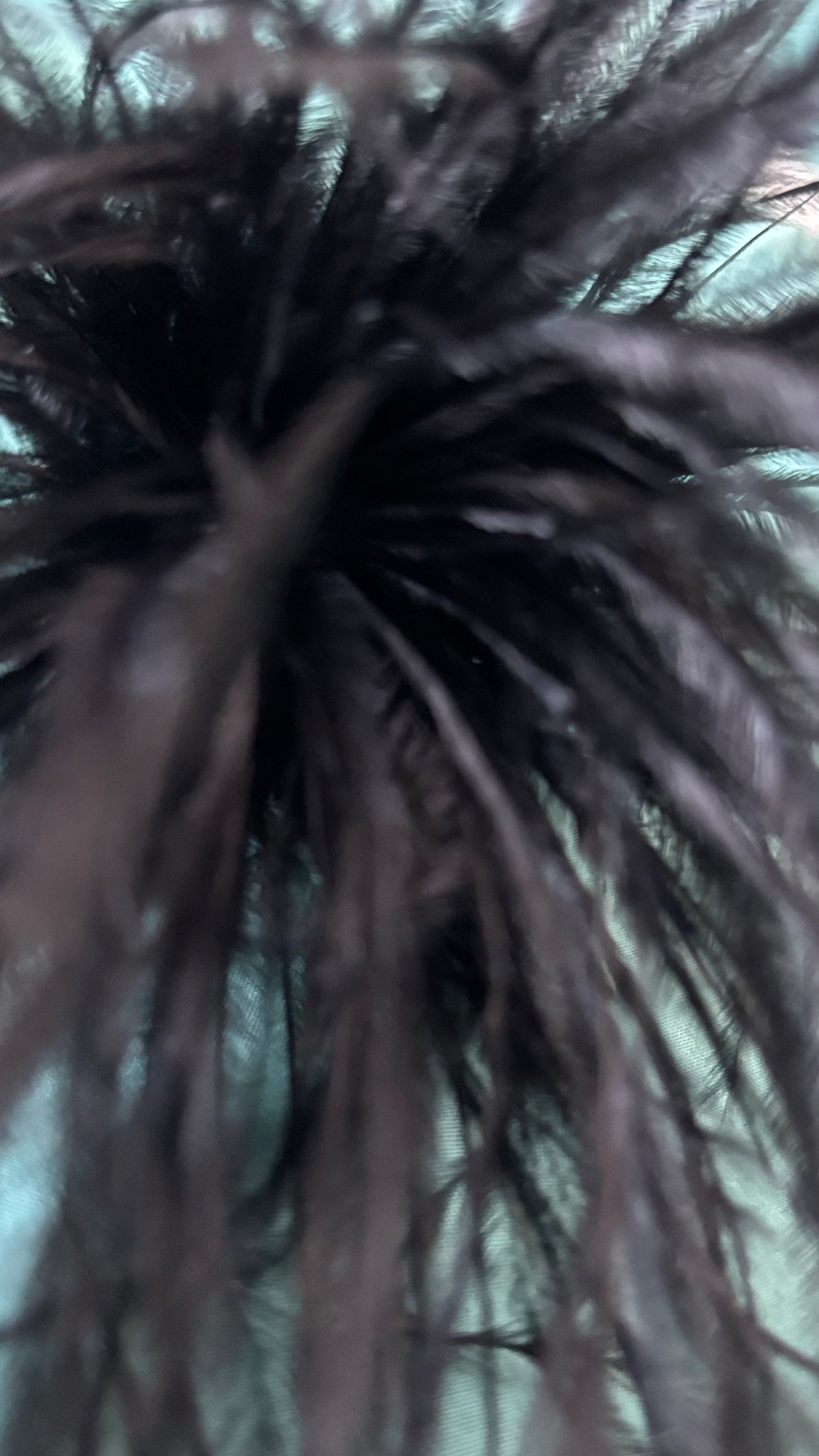 Zarte Brosche aus feinen Federn in SChwarz, flexibel tragbar als Anstecker oder Haarclip. Luftiges, extravagantes Accessoire für schlichte Outfits oder besondere Anlässe.