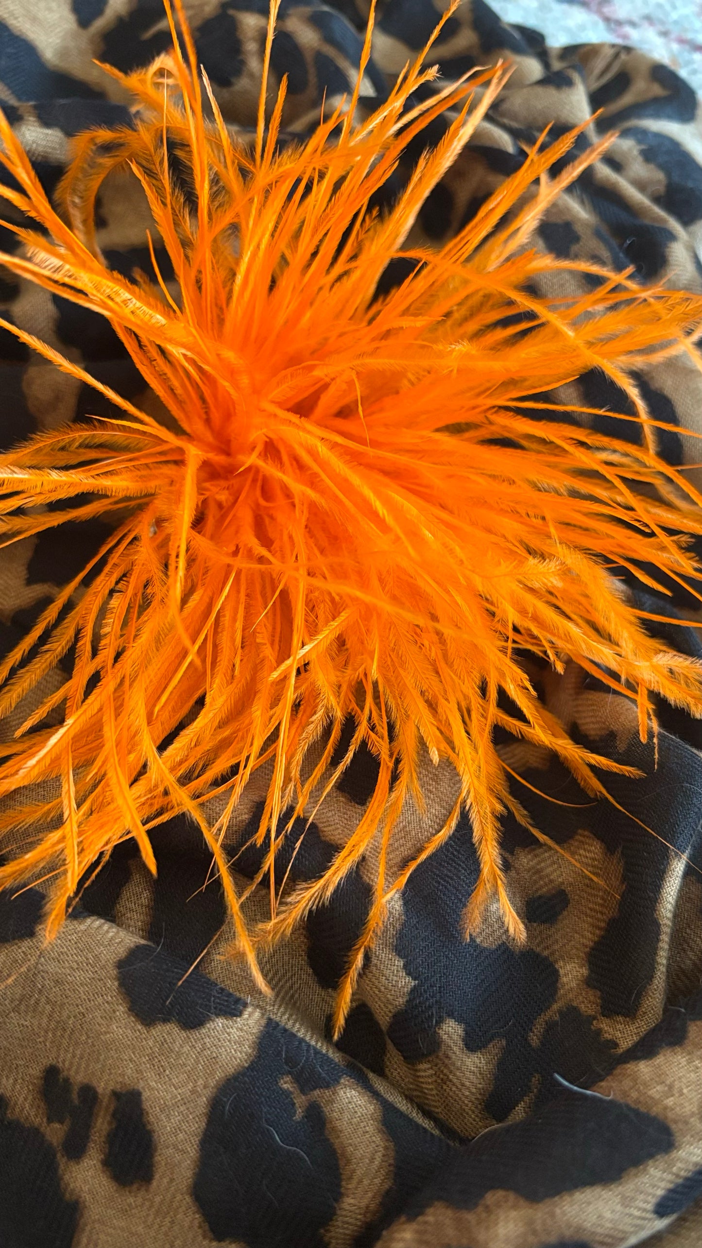 Feather Delight Brosche